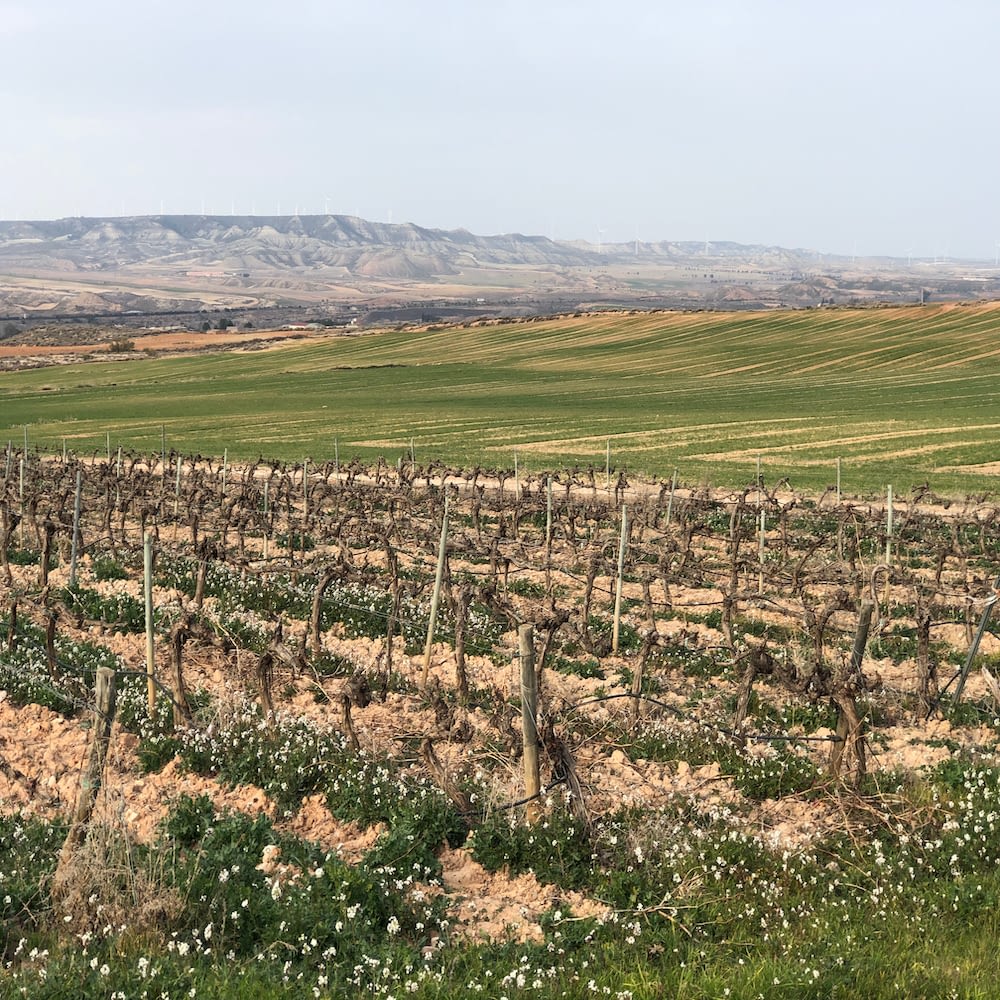 Recorriendo la tierra del vino de las piedras