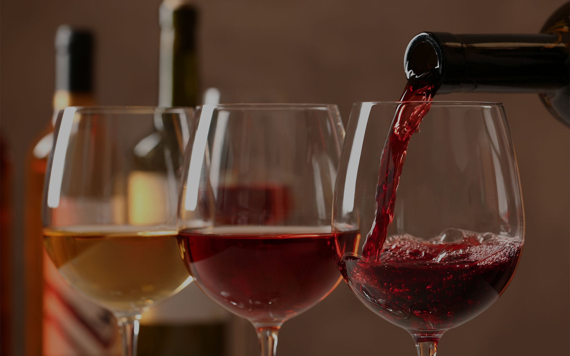 degustaciones online