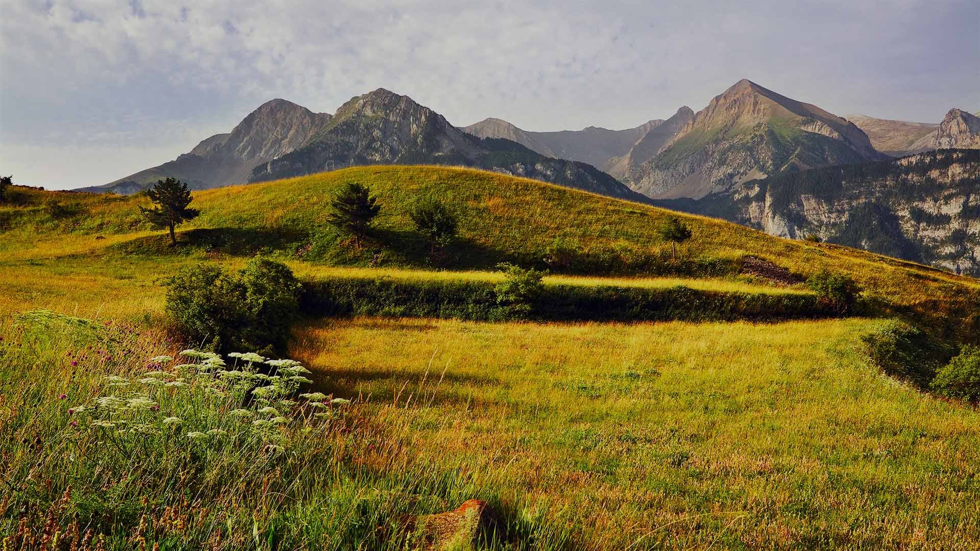 pirineos aragon cultura local